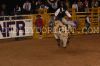 NFR22-5-214_robeyCONDRA.jpg