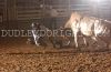 AJFINAL23-Sat-_188_mattMILES_scottySPENCER.jpg