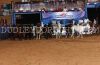 Austin23-2M-115_remuda.jpg