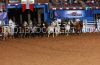 Austin23-2W-112_remuda.jpg