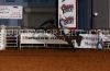 Belton23-W-130_rogerfalvey.jpg
