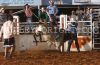 Clovis23-Wpm-_104_coyCREAGER.jpg