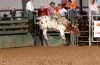 Kerrville23-aftrn-_104_elginTRACEY.jpg