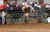 Kerrville23-n-_001_davidTURNER.jpg