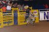 NFR23-3-_144_mikeMOORE.jpg