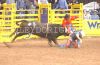 NFR23-7-_142_robeyCONDRA_20.jpg