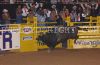 NFR23-8-_140_terrydonWEST.jpg