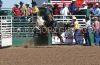 NewB23-Sun-_001_brianMASCH.jpg