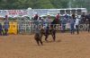 Sville23-T-143_loriWALLACE.jpg