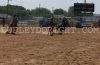 Sville23-W-_088_bobWHEELER.jpg