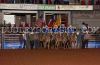 WFRanchRndup23-F-_001_SantaRosaPalomino_Club.jpg