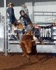 AJRA24-Sat-_206_harveSTEWART_13.jpg