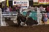 Angelo24-1_Sun-_129_shaneDRURY.jpg