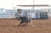 Clovis24-Fam-_069_baileyTHURSTON.jpg
