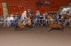 Corpus24-T-_132_houstonHUTTO.jpg