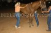 DG24-Sun-_235_equine_kinetics_817-683-1432.jpg