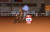 DG24-M-_001_tonyJACKSON.jpg