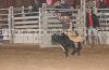 Hereford24-_Sun-_001_jacobGUDGELL.jpg