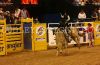NFR24-2-_199_dustinELLIOTT.jpg