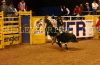 NFR24-8-_167_dustinELLIOTT.jpg