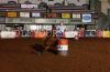 Northside24-Tam-_001_johannaHANSEN.jpg