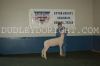 Odessa24-LS-_055_reeceJACOBY_8.jpg