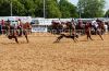Sville24-ctr-_301_coleHUDGENS.jpg