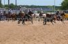 Sville24-T-_207_michaelJONES.jpg