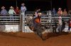 4Cs_Derby_8-25-_087_colonel_4Cs-SILLS_codyCOLMES.jpg