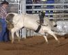 4Cs-Futurity-9-25--001-slimdini_4Cs_JCB.jpg