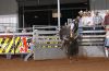 AJRA25-_W_pm-_089_ryanSHANKLIN.jpg