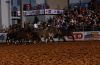 Belton25-_Sat-_117_Bailey_s_remuda.jpg