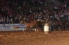 Belton25-_M_-_104_Bailey_s_remuda.jpg