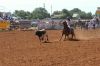 Clovis25-_F_am-_101_tierraGRAY.jpg