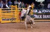 NFR25-1-_216_mattAUSTIN.jpg