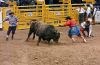 NFR25-3-_244_mattAUSTIN_darrellDIEFENBACH.jpg