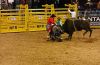 NFR25-4-_202_mattAUSTIN_shortyGORHAN_darrellDIEFENBACH.jpg