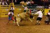NFR25-_8-_176_mattAUSTIN_shortyGORHAM.jpg