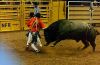 NFR25-Horse_Bull_Sale_W_only-_221_patrickHAMMETT.jpg