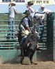 NewB25-_Sun-_001_clintDODSON.jpg