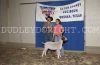 Odessa25-LS-_092_stephanieSHEPARD_(sr_showmanship).jpg
