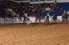 Odessa25-_SD-_033_cimmaronTHOMPSON.jpg