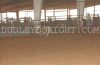 Odessa25-_SR-_008_frankWELCH.jpg