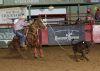 A1_Sample__A_StkYrdFinals25-_102_trentCREAGER.jpg