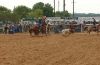 Sville25-_T-_092_jwCOTTON_5_1.jpg