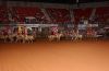 WFRR25-_F_pm-_001_Santa_Rosa_Palomino_Club.jpg