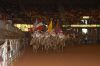 WFRR25-_Sat_nit-_001_Santa_Rosa_Palomino_Club.jpg