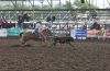 WRyon25-_Sun-_001_randyMcWRIGHT.jpg