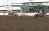 WRyon25-_Sun-_210_rockyPATTERSON.jpg