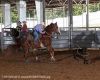 THS1025-8313_cooperROBERTSON.jpg